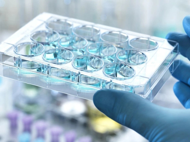 HANSOH PHARMA: EQRX'S MARKETING AUTHORIZATION APPLICATION FOR AUMOLERTINIB FOR THE TREATMENT OF NSCLC WITH EPIDERMAL GROWTH FACTOR MUTATIONS WAS ACCEPTED BY THE EMA 